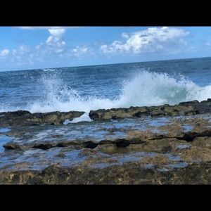 Meet your Posher, Floro